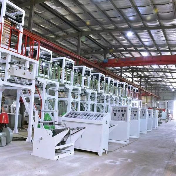 Chiny Xinda Pelosi Co.,Limited profil firmy