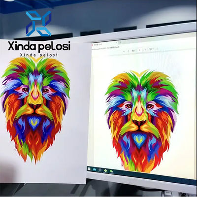 Multi Color Digital Bag Printing Machine 220V/110V For Non Woven Bag